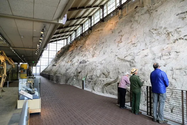 Visitors and a ranger at the rail beside the Wall of Bones, a slanted rock face full of dinosaur fossils
